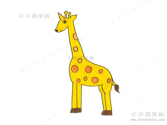 二年级长颈鹿简笔画教程，长颈鹿简笔画可爱的涂颜色的