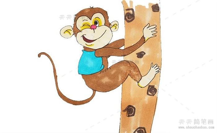 简单好看的猴子简笔画模板，小朋友关于猴子简笔画的详细步骤