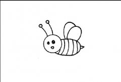 胖嘟嘟的蜜蜂简笔画如何画，蜜蜂简笔画最可爱画法