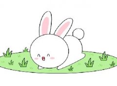 趴在草地上的小兔子简笔画教程，怎么画趴着的小兔子简笔画