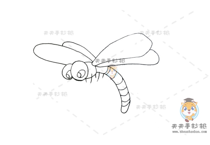 一步一步画蜻蜓简笔画详细教程，卡通蜻蜓简笔画可爱的线稿图片