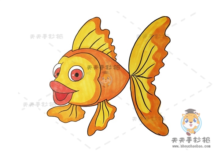 彩色金鱼简笔画详细步骤，教你画带颜色的金鱼简