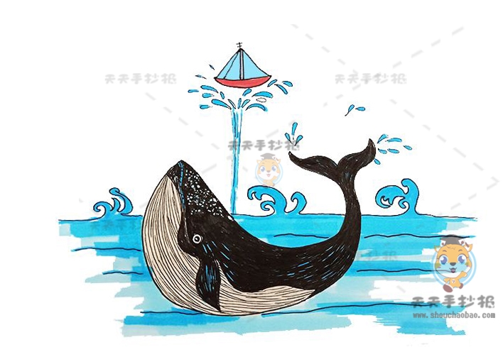 鲸鱼简笔画图画步骤教学，手把手教你画鲸鱼简笔画