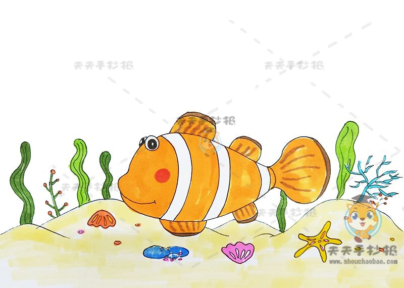 萌萌哒小丑鱼简笔画怎么画，超好看的小丑鱼简笔画模板