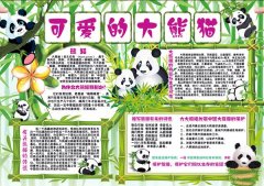 保护动物手抄报，可爱的大熊猫