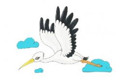 飞着的白鹤简笔画怎么画，白鹤简笔画图片带颜色