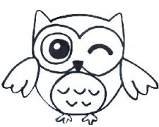 猫头鹰简笔画简单步骤教程，教你画一只可爱的猫头鹰