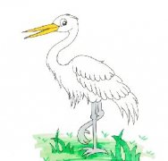 站着的白鹭怎么画简单又漂亮，卡通白鹭简笔画步骤教程