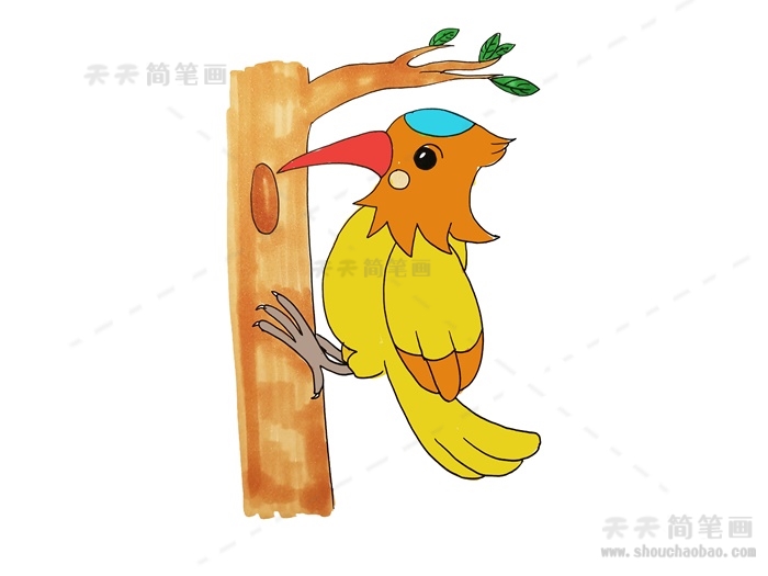 啄木鸟简笔画简单又漂亮教程,啄木鸟简笔画彩色怎么画