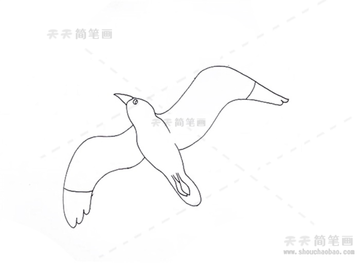 海鸥简笔画