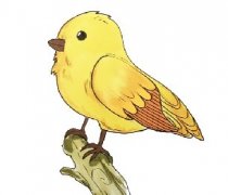 小鸟怎么画简单画法步骤教程，教你画上一只可爱的小鸟