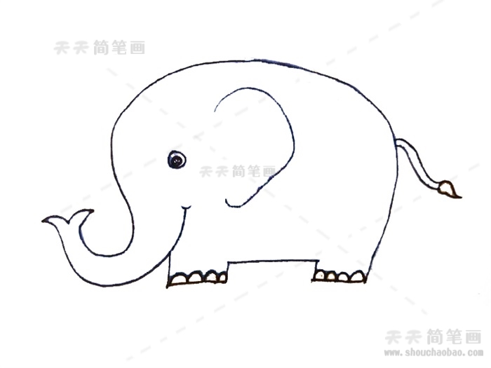大象简笔画带颜色漂亮