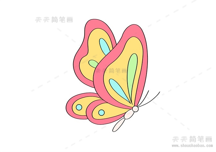 儿童画蝴蝶怎么画简单好看