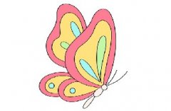 儿童画蝴蝶怎么画简单好看，一步一步教画蝴蝶教程