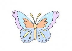 儿童画蝴蝶简单画法，画一只美丽又漂亮的蝴蝶