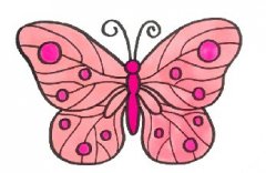 儿童画蝴蝶简单画法，一步一步教你画漂亮的蝴蝶