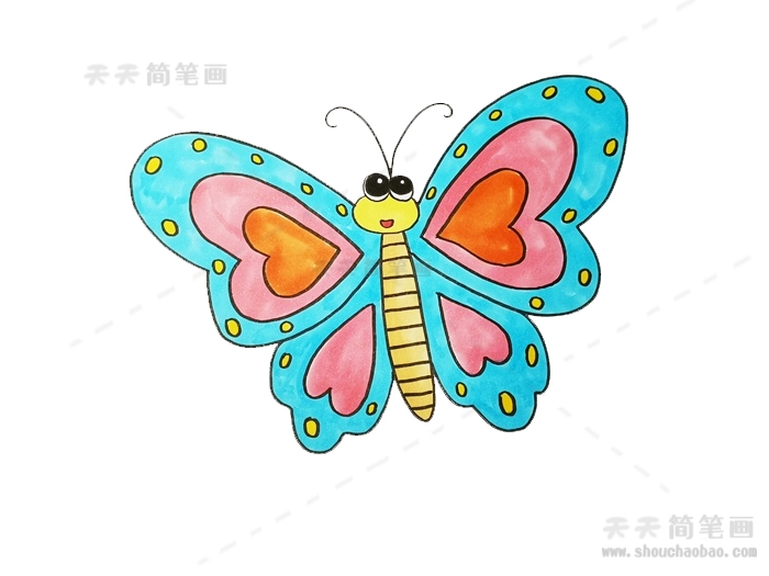 蝴蝶的简易画法图片