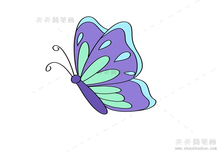 一笔一画的蝴蝶画法