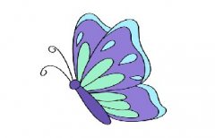 一笔一画的蝴蝶画法，美丽的蝴蝶简笔画颜色