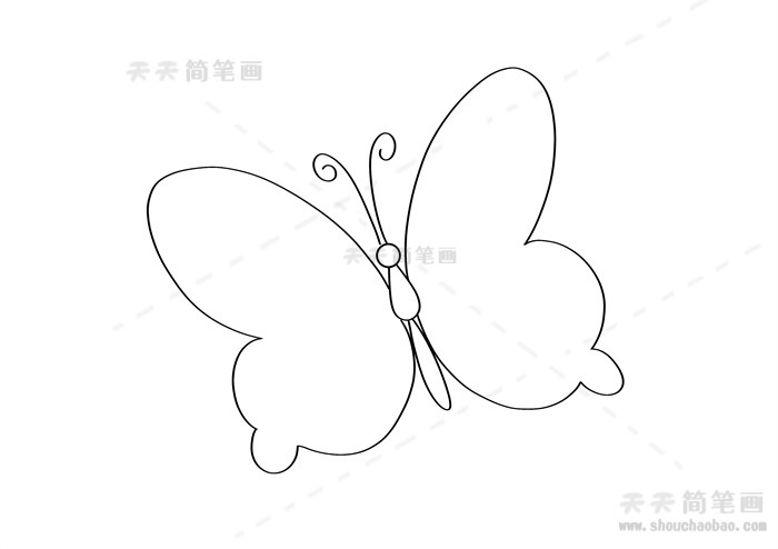美丽的小蝴蝶简笔画教程