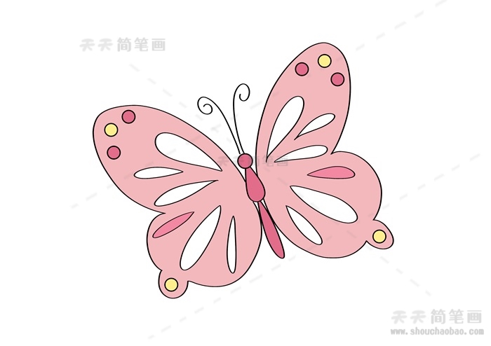 美丽的小蝴蝶简笔画教程
