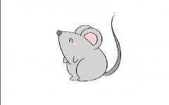 简易萌萌的老鼠简笔画步骤，十二生肖老鼠简笔画彩色模板