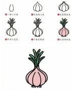 蔬菜简笔画：大蒜的简易画法。小知识：大蒜为什么这么辣