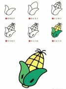 蔬菜简笔画：玉米的简易画法。小知识：玉米的神仙吃法