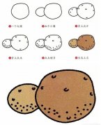 蔬菜简笔画：土豆的简易画法。小知识：土豆的营养价值