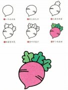 蔬菜简笔画：萝卜的简易画法。小知识：白萝卜红萝卜的功效有什么区别