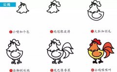 动物简笔画：高傲的大公鸡：小知识：为什么公鸡会主动啄人？它根本不怕人