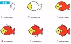 动物简笔画：五颜六色的海鱼简笔画：小知识：海鱼的生活习性