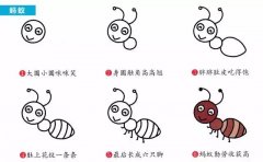 动物简笔画：小小蚂蚁大大智慧。小知识：蚂蚁的分工