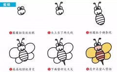 动物简笔画：勤劳的小蜜蜂。小知识：蜜蜂分工