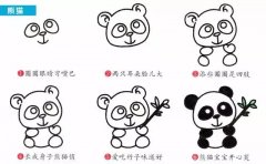 动物简笔画：人见人爱的熊猫。小知识：熊猫的生活习性