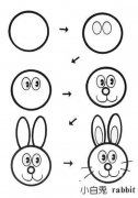 动物吵架：可爱小白兔简笔画。小知识：关于小白兔的笑话