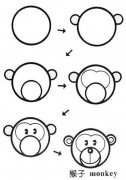 动物简笔画：小猴子简笔画。小知识：关于小猴子的资料