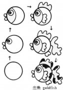 动物简笔画：小金鱼的简单画法。小知识：小金鱼如何饲养，超详细！