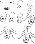 动物简笔画：可怕的蜘蛛。小知识：蜘蛛得分类